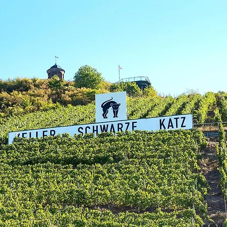 Tilda Im Haus Moselwelt * 摩泽尔河畔的泽尔