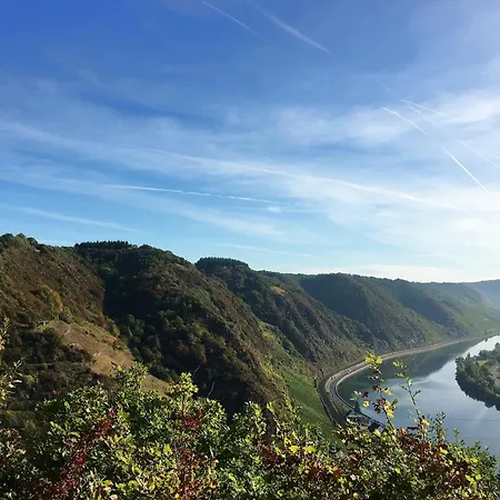 Апартаменты Tilda Im Haus Moselwelt Целль-ан-дер-Мозель