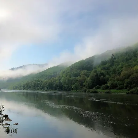 Tilda Im Haus Moselwelt 摩泽尔河畔的泽尔