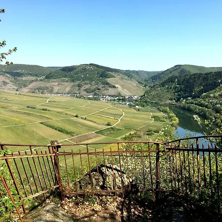 Tilda Im Haus Moselwelt 公寓 *