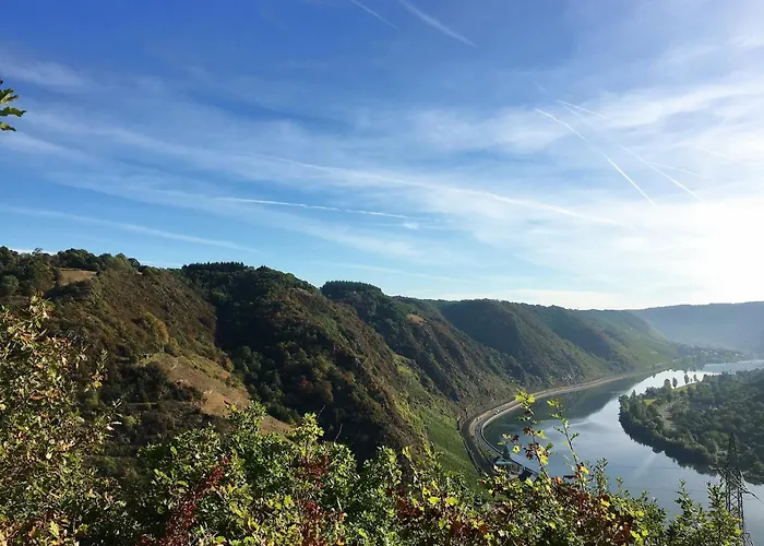 Apartment Tilda Im Haus Moselwelt Zell
