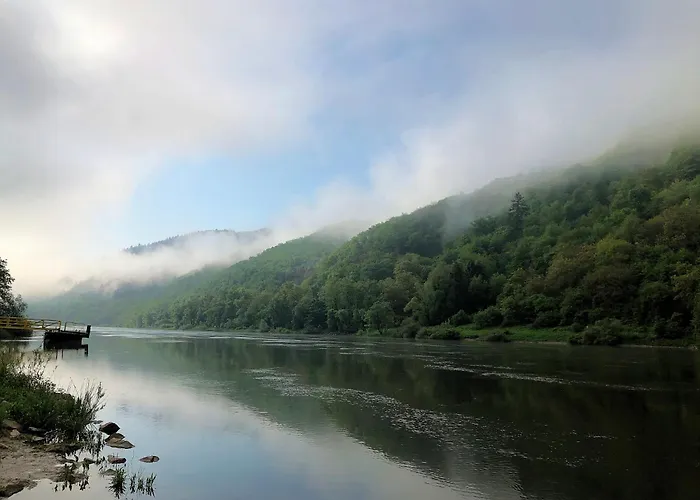 Tilda Im Haus Moselwelt Zell
