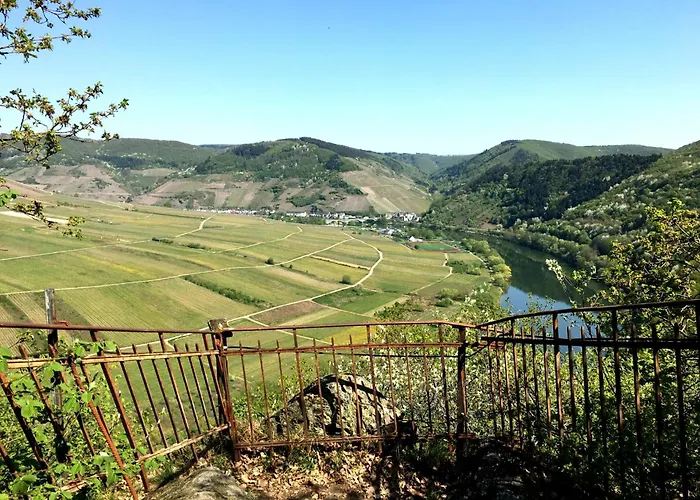 Tilda Im Haus Moselwelt Apartment *