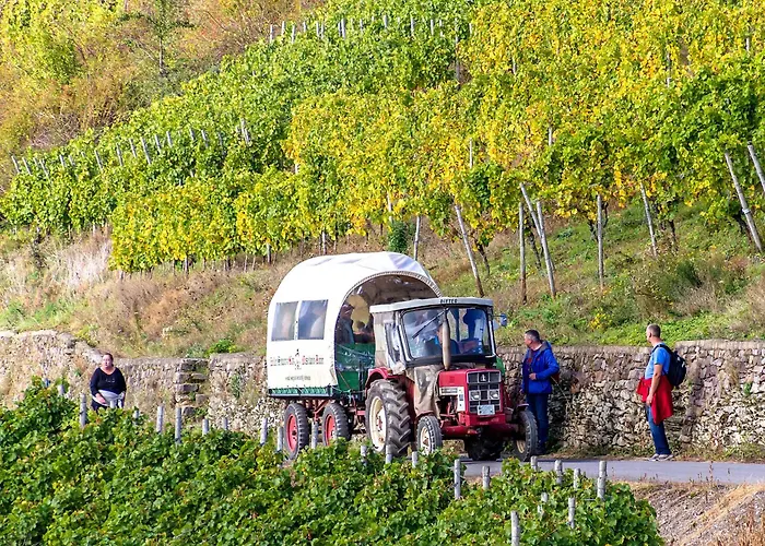 Tilda Im Haus Moselwelt Apartment Zell